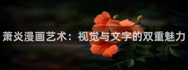 虫虫漫画破解版：萧炎漫画艺术：视觉与文字的双重魅力